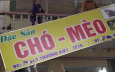 Hội An sau cam kết nói không với thịt chó mèo