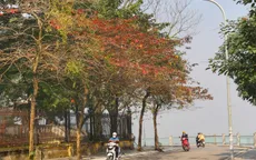 Miền Bắc nắng ấm trước khi đón không khí lạnh