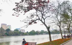 Bắc Bộ trời ấm, Nam Bộ chiều tối mưa dông