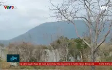 Cấp bách phòng ngừa cháy rừng ở vùng khô hạn