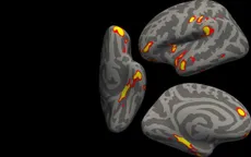 Tốc độ lão hóa của các cơ quan trong cơ thể không tương đồng