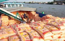 Nhiều cơ hội xuất khẩu gạo chất lượng cao sang EU
