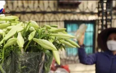 Hoa loa kèn tinh khôi gọi tháng 4 về trên phố Hà Nội
