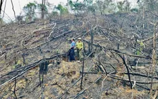 Khởi tố vụ án, bắt tạm giam đối tượng phá 5000m2 rừng phòng hộ ở Đam Rông, Lâm Đồng