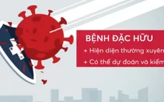 Điều gì sẽ xảy ra khi COVID-19 trở thành bệnh đặc hữu?
