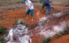 Kon Tum phát hiện ổ dịch H5N1, tiêu hủy 1.700 gia cầm