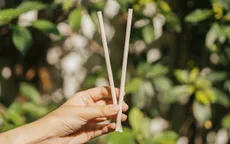 Công ty khởi nghiệp về phát triển bền vững huy động được 1,3 triệu USD ở vòng hạt giống
