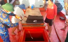 Phát hiện tàu chở 20.000 lít dầu DO không hóa đơn, chứng từ