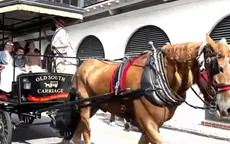 Charleston - một trong những thành phố được bảo tồn tốt nhất nước Mỹ