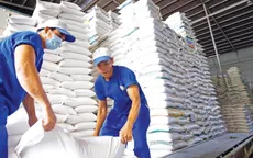 Giá gạo ở Đồng bằng sông Cửu Long tăng
