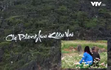 Không khí lễ hội trở lại trên cao nguyên đá
