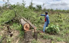 Phát hiện vụ phá rừng quy mô 300ha tại Đắk Lắk
