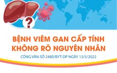 [INFOGRAPHIC] Bệnh viêm gan cấp tính không rõ nguyên nhân