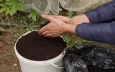 Tận dụng bã cà phê làm phân bón