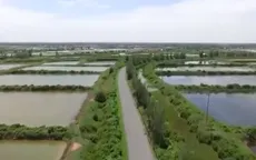 Thủy lợi vùng nuôi tôm chưa được đầu tư xứng tầm