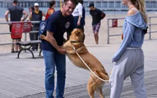 Sean Penn tái hợp vợ cũ sau khi hoàn tất thủ tục ly hôn