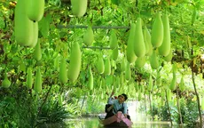 Phát triển du lịch nông thôn: Còn nhiều việc phải làm
