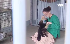 Bảo tồn động vật quý hiếm
