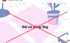 Các loài động vật hoang dã được rao bán tràn lan trên mạng xã hội