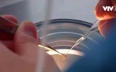 Đông lạnh trứng để trì hoãn việc sinh con ngày càng phổ biến tại Hàn Quốc