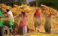 Làn sóng bảo hộ làm trầm trọng thêm khủng hoảng lương thực?
