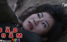 Bão ngầm - Tập 67: Đại tá Hà hy sinh, Hải Triều vật lộn với Ong chúa?