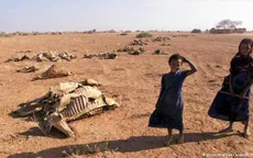 Hạn hán tồi tệ nhất trong nhiều thập kỷ tàn phá Ethiopia