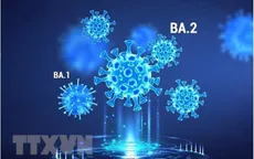 Mỹ lo ngại biến thể phụ mới dễ lây lan của Omicron