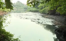 Ô nhiễm hệ thống đại thủy nông Bắc Hưng Hải