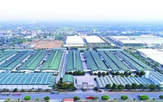 Tiền Giang: Sản xuất công nghiệp và xuất khẩu tăng phục hồi và phát triển mạnh