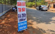 Long An: Tạm dừng tiếp nhận và giải quyết thủ tục đất đai do tình trạng sốt đất ảo