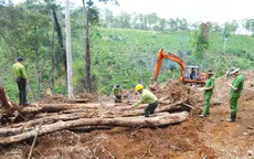 Lâm Đồng thu hồi nhiều dự án du lịch, nghỉ dưỡng triển khai chậm tiến độ