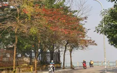 Bắc Bộ hửng nắng, Trung Bộ và Nam Bộ mưa dông về chiều