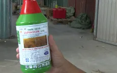 Xóa sổ kho thuốc bảo vệ thực vật giả tại Hà Nội