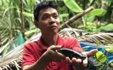 Nhân giống thành công loài cá dày y hệt cá lóc, bảo tồn loại cá tự nhiên đặc sản