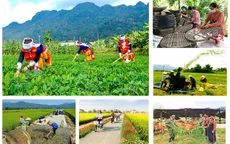 Thủ tướng đôn đốc triển khai quyết liệt các chương trình mục tiêu quốc gia