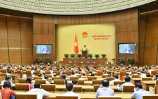 Ngày 14/6, Quốc hội thảo luận về dự án Luật Phòng, chống bạo lực gia đình (sửa đổi)