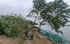 Xôn xao hình ảnh "cây cô đơn" nổi tiếng ở Hồ Tây nghi bị chặt hạ