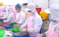 Cà Mau phục hồi sản xuất nhờ vốn vay ưu đãi