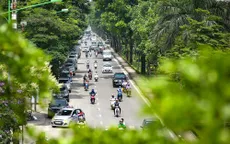 Hệ thống cây xanh ở Hà Nội: Nhiều hạn chế, cần điều chỉnh khoa học và hợp lý