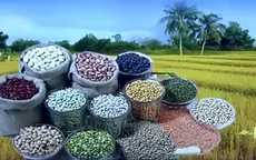 Tín hiệu tháo gỡ nguồn cung ngũ cốc