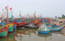40 - 55% tàu cá nằm bờ do giá dầu tăng