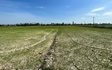 Phú Yên yêu cầu 3 nhà máy thủy điện đảm bảo nguồn nước