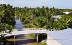 Xóa cầu khỉ cho Đồng bằng sông Cửu Long