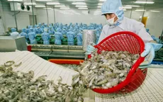 Xuất khẩu thủy sản tăng chậm trong tháng 5