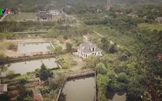 Phát sinh tiêu cực từ chậm bàn giao đất nông trường