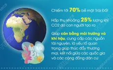 [Infographic] Ngày Đại dương thế giới 8/6: Tầm quan trọng và thực trạng của đại dương
