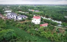Nhà hàng, kho xưởng, biệt thự… mọc như nấm trên đất nông trường