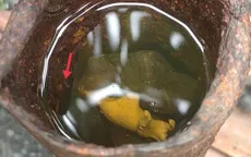 TP. Hồ Chí Minh: Xử lý triệt để 51 điểm nguy cơ gây bệnh sốt xuất huyết được phản ánh qua ứng dụng "Y tế trực truyến"