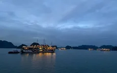 Rực rỡ đêm du thuyền trên vịnh Hạ Long